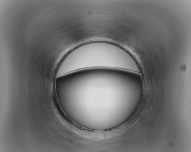 X0000091070015200708061033