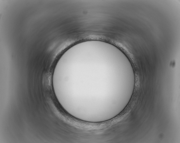 X0000091070016200708061033