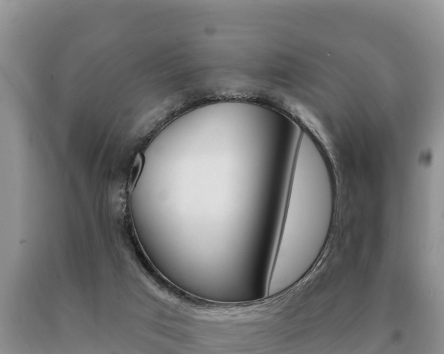 X0000091070017200708061033