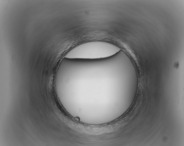 X0000091070018200708061033