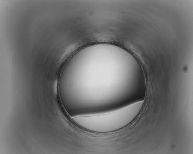 X0000091070019200708061033