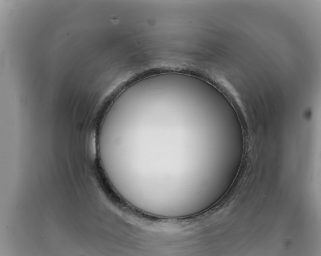 X0000091070020200708061033