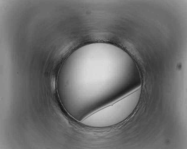 X0000091070021200708061033