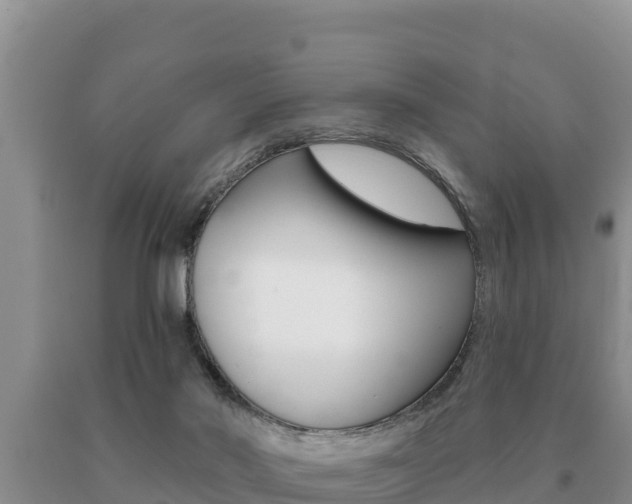 X0000091070022200708061033