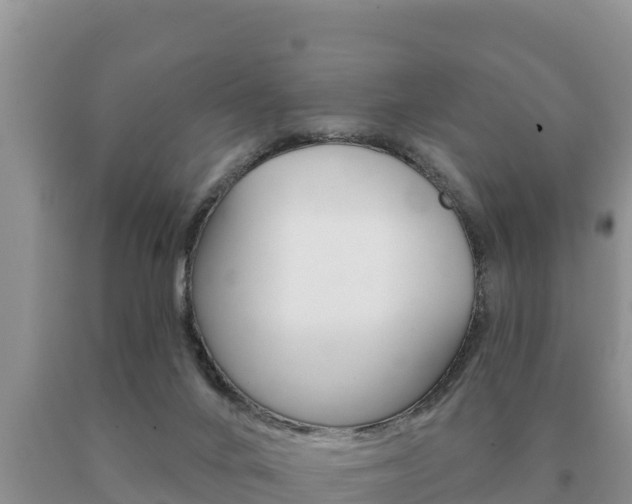 X0000091070024200708061033