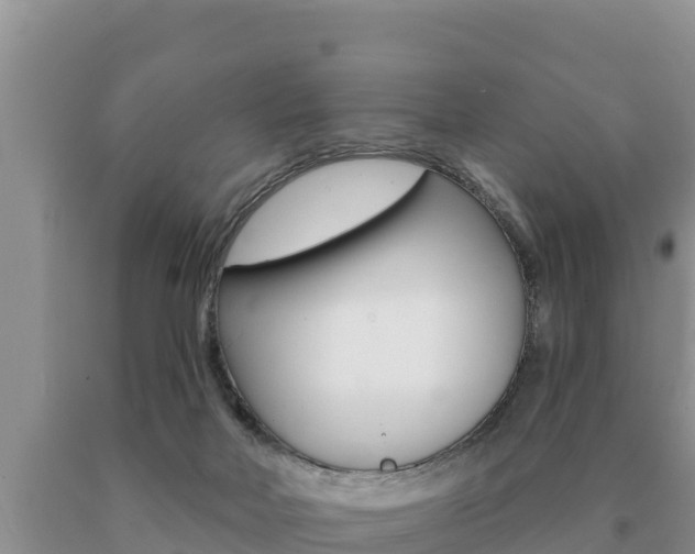 X0000091070026200708061033