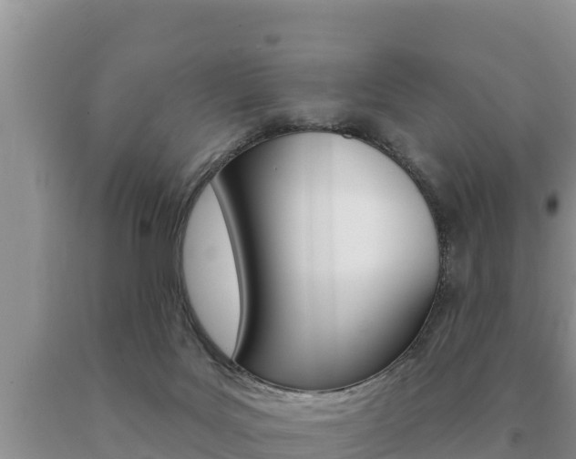 X0000091070027200708061033