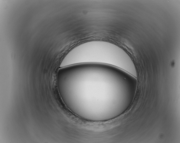 X0000091070029200708061033