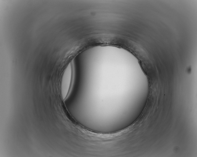 X0000091070031200708061033