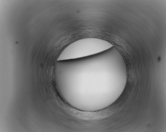 X0000091070034200708061033