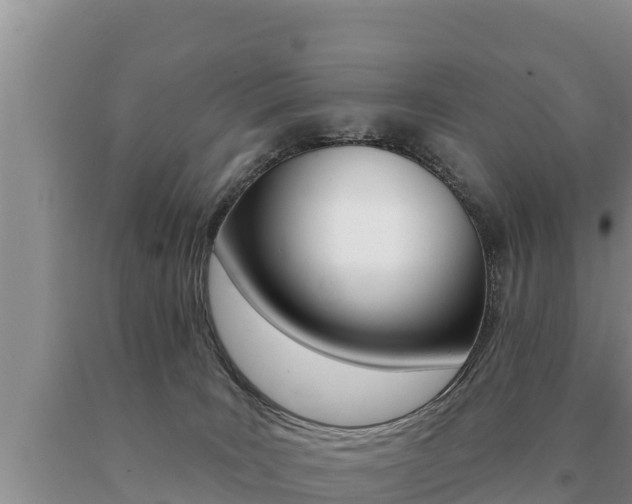 X0000091070035200708061033