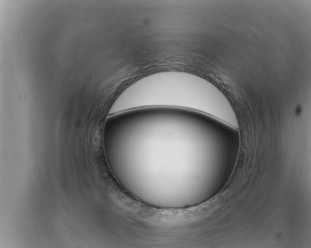 X0000091070037200708061033