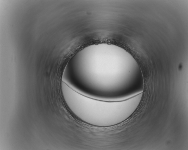 X0000091070039200708061033
