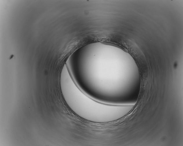 X0000091070041200708061033