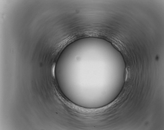 X0000091070047200708061032