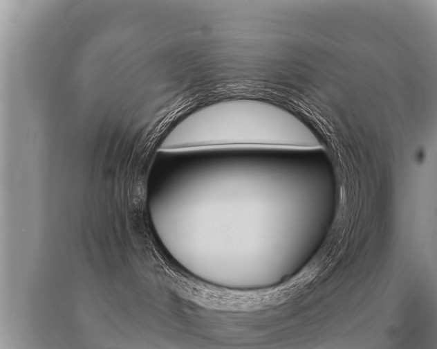 X0000091070048200708061032
