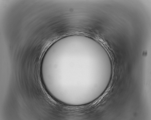 X0000091070049200708061032