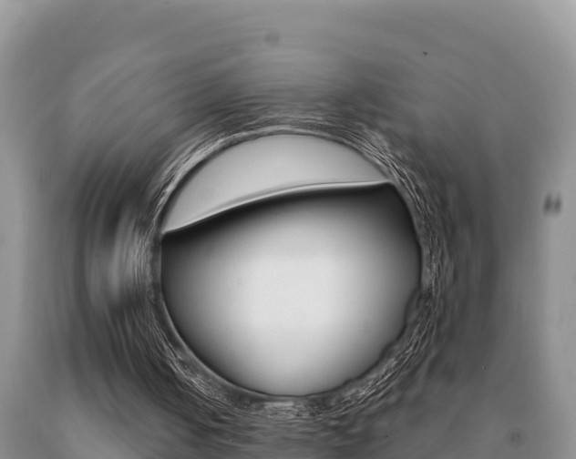 X0000091070050200708061032