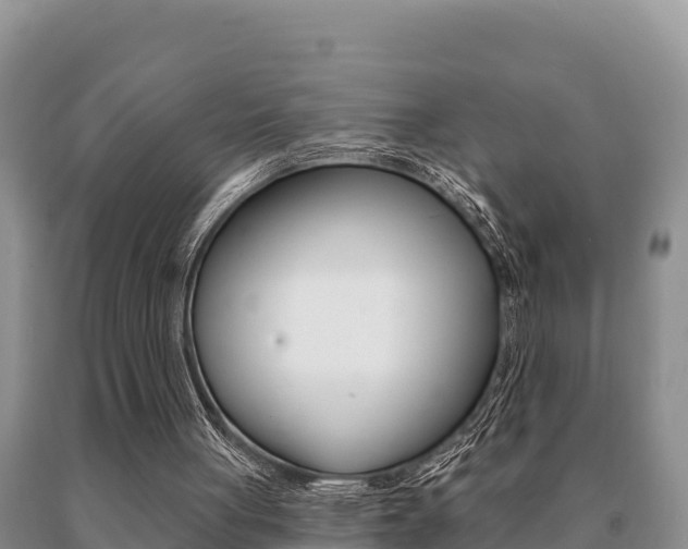 X0000091070051200708061032