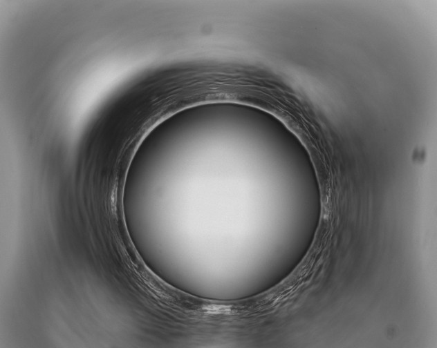 X0000091070052200708061032