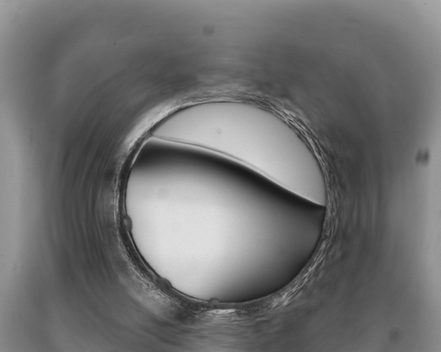 X0000091070054200708061032