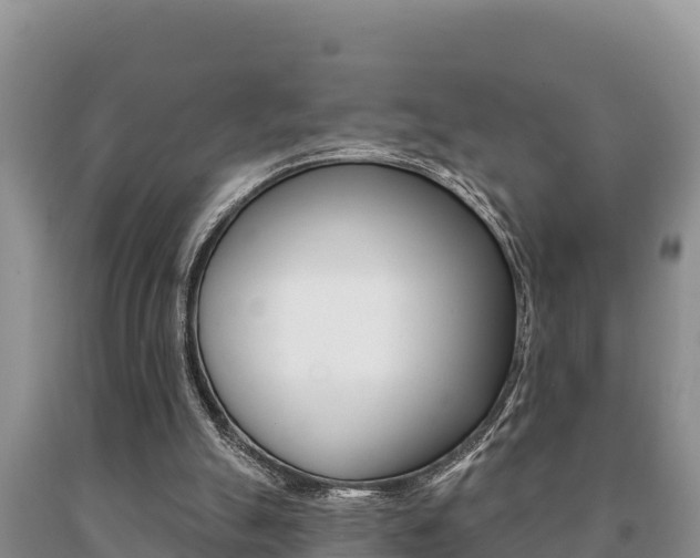X0000091070055200708061032