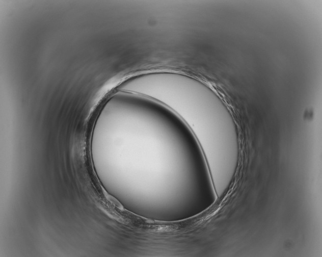 X0000091070056200708061032
