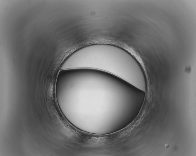 X0000091070057200708061032
