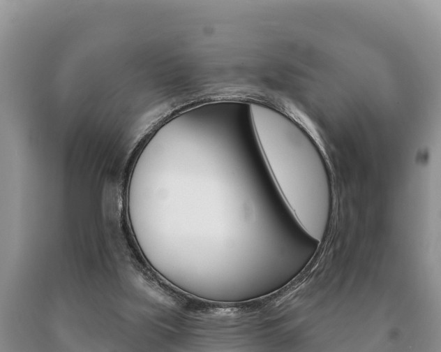 X0000091070059200708061032