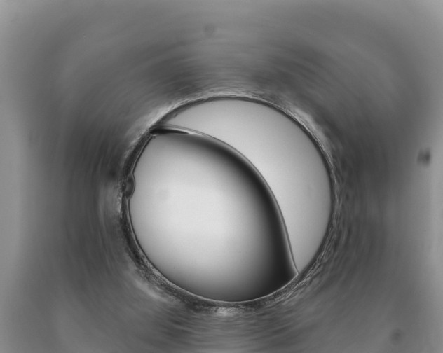 X0000091070060200708061032