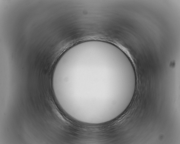 X0000091070061200708061032