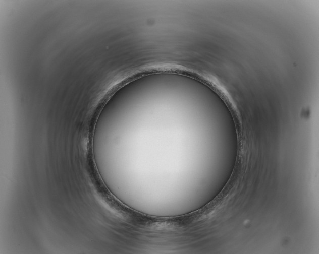 X0000091070063200708061032