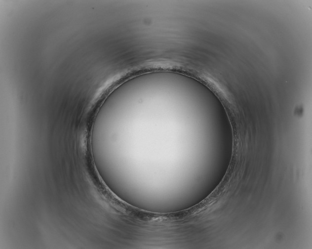 X0000091070064200708061032