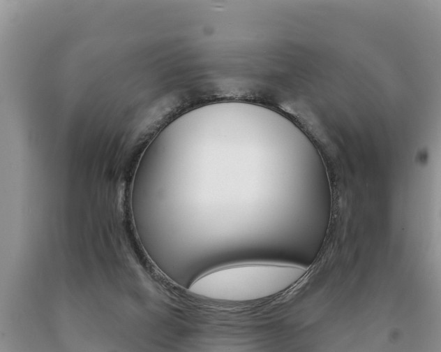 X0000091070066200708061032