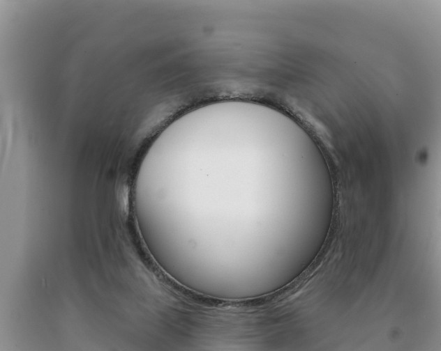 X0000091070067200708061032