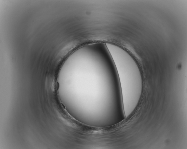 X0000091070068200708061032