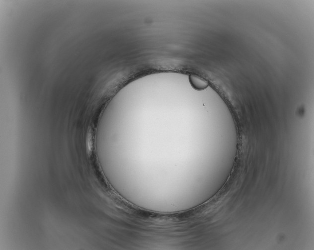 X0000091070069200708061032