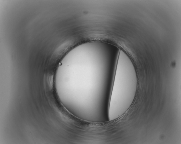 X0000091070070200708061032