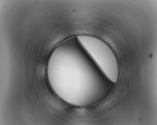 X0000091070071200708061032