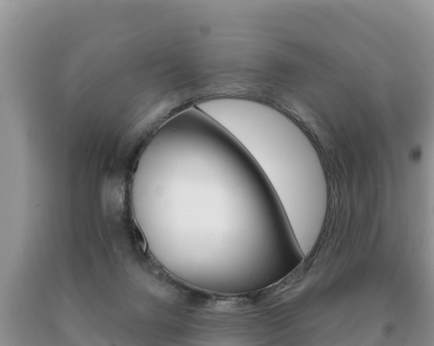X0000091070072200708061032