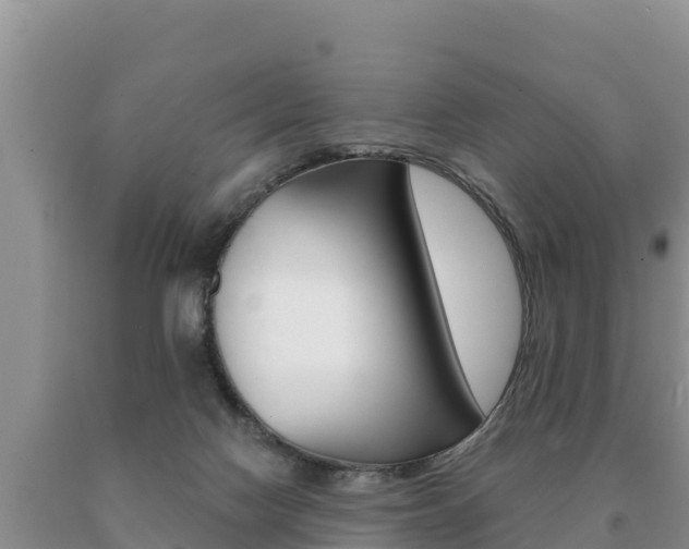 X0000091070074200708061032