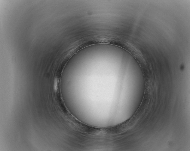 X0000091070075200708061032