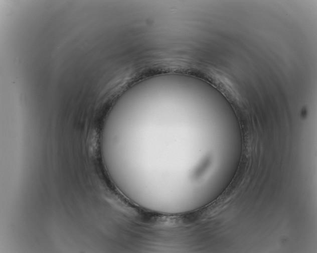X0000091070077200708061032