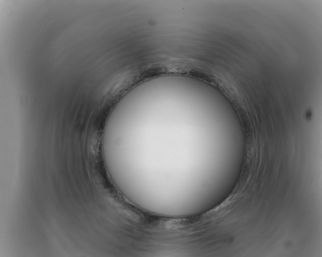 X0000091070078200708061032