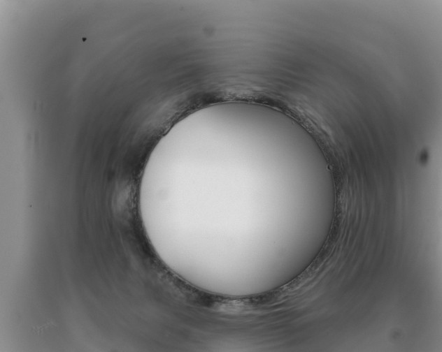 X0000091070079200708061032