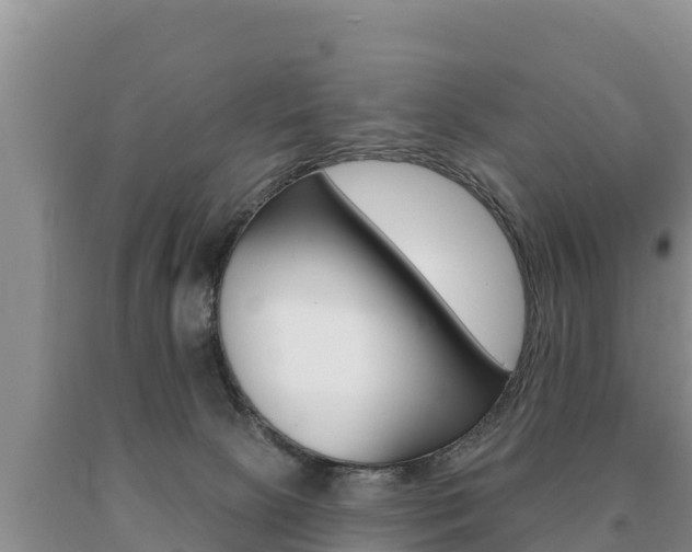 X0000091070081200708061032