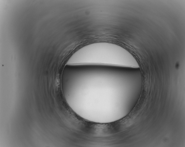 X0000091070085200708061032