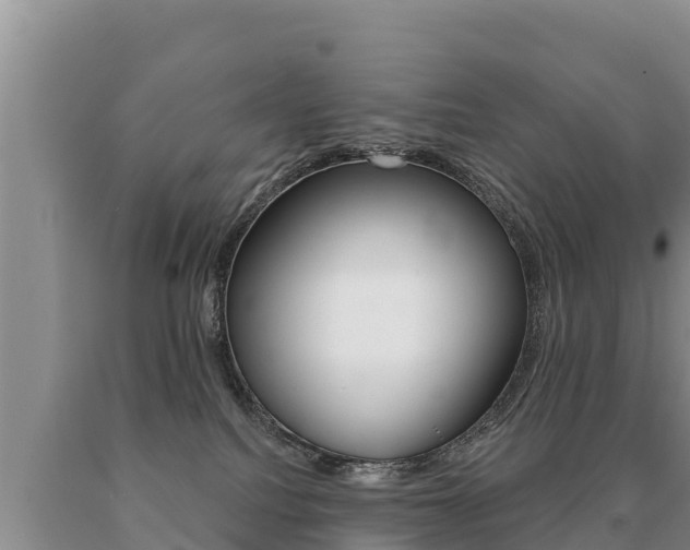 X0000091070088200708061032