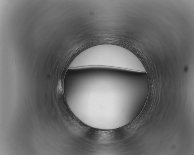 X0000091070089200708061032