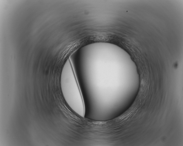 X0000091070096200708061032